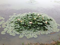 漩门湾国家湿地公园-漩门湾国家湿地公园