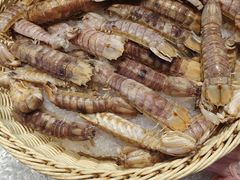 -非烤勿扰自助烤肉(东坑四季广场店)