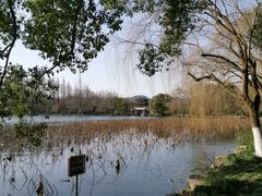 -苏堤停车场