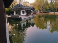 -团结湖公园