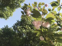 -重庆市江北嘴中央商务区中央公园