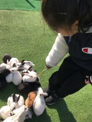 -萌宠亲子动物乐园(槐房万达店)