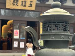 -西湖风景区十里琅珰-五云山