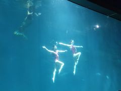 -福州罗源湾海洋世界旅游区