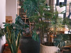 -长春藤咖啡(北园店)