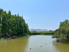 -江心屿景区
