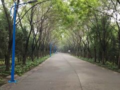 -森林公园(尖草坪区)