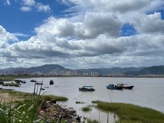 -北岐滩涂