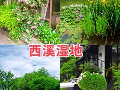 -西溪国家湿地公园