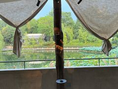 -朴墅(西湖青芝坞店·杭帮菜·家宴.14年的店)