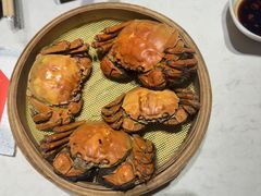 -杨氏青龙虾·羊蝎子(金盛路总店)