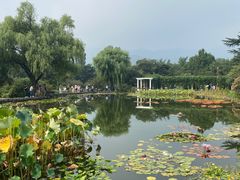 -国家植物园南园