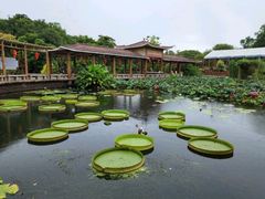 -广州莲花山旅游区