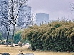-白塘生态植物园