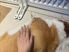 -平行世界·猫咖(首经贸店)