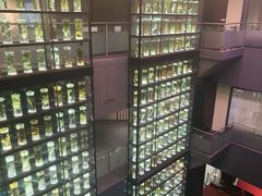 -广东中医药博物馆