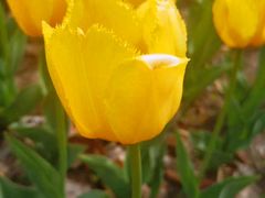 -长春公园(普阳街道)