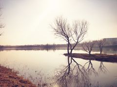 -东郊湿地公园