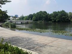 -新江湾城公园