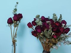 -ChaKo Flora ·茶子花艺 (市北店)
