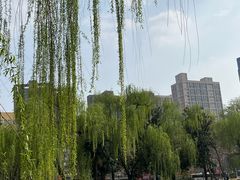 -西苑公园