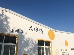 -前小桔亲子创意农场·草莓采摘·露营烧烤