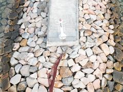 -YHA白普理赛马会大美督青年旅舍(大埔)