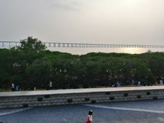 -宝安西湾红树林湿地公园