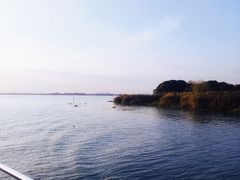-七的湖·晚芳亭·阳澄湖农家菜·大闸蟹(莲花岛店)