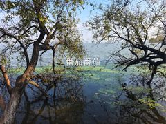-西昌邛海湿地