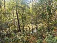 -青龙山国家森林公园