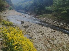 -四明山国家森林公园