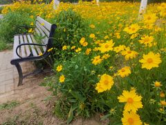 -永定河休闲森林公园