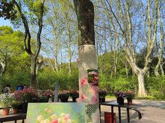 -上海共青森林公园