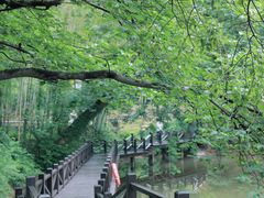 -宝岩生态观光园