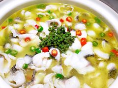 青花椒味砂锅鱼-青花椒花椒鱼(合生汇店)