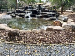 -北京野生动物园