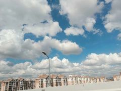 -马陆小张葡萄园农家乐