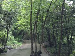 -白云源风景区