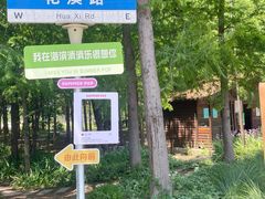 -上海长兴岛郊野公园