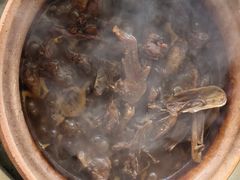 -霞姐屯昌枫木香草鸭店(海螺店)
