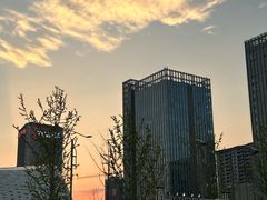 -金沙湖公园
