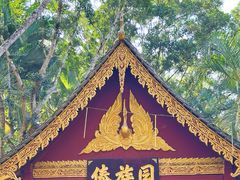 -西双版纳傣族园