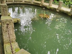 -成都市活水公园