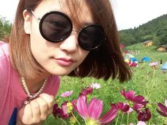 -武陵山森林公园
