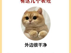 -泰洋动物医院·神经专科·磁共振·CT(天河公园总院)