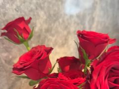 -潮州府·潮菜·砂锅粥(徐家汇店)