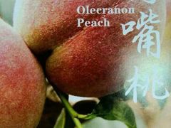 android_upload_pic-连平县上坪镇鹰嘴水蜜桃基地