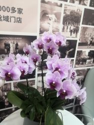 -丝域养发馆