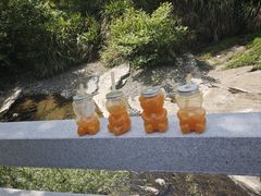 -石台牯牛降景区